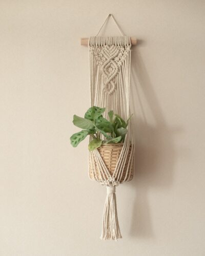 colgador de muro para plantas macetero