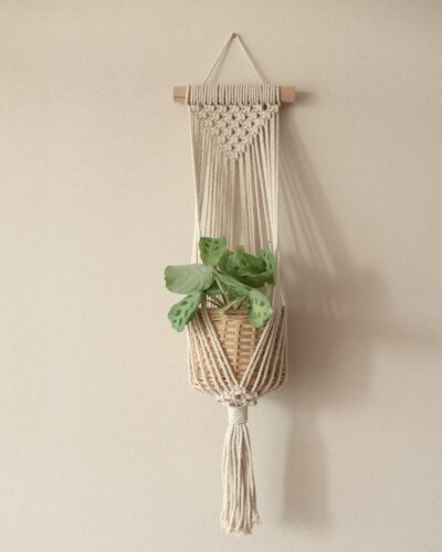 colgador de muro para plantas simple macetero