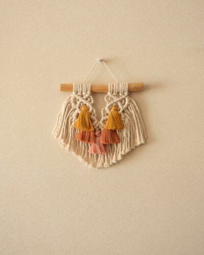 mini mural de macrame colores